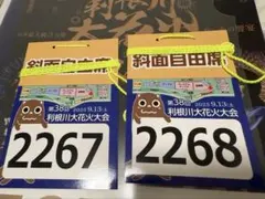 가격 인하!토네 강 불꽃놀이 축제의 슬로프에 무료 좌석 1개