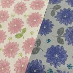 KOKKA帆布　2枚セット