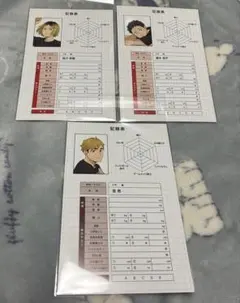 ハイキュー アニメイト 特典 3枚セット