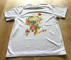 Item thumbnail for item d7a78ac0-114f-452c-83f2-912ca75392f2