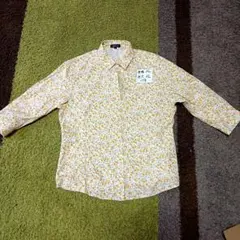 Item thumbnail for item 90fd4f9a-21f4-47a3-872e-4b83cf0e2548