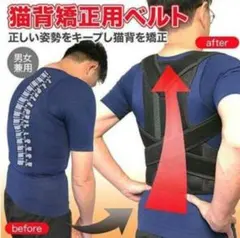 Item thumbnail for item 243bcf9e-8d2b-4825-8d46-874114684dc0