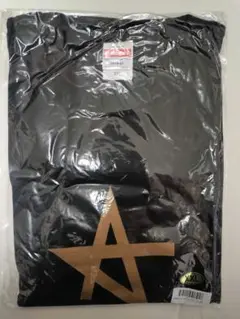 STARDOM ロゴTシャツ XXL
