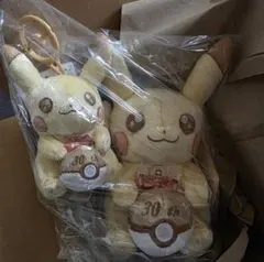 ポケモン ピカチュウ 30周年記念 ぬいぐるみセット　③