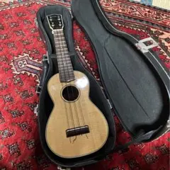 Item thumbnail for item a7e814ca-dc72-4c47-bb5d-77bcbe74d098