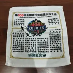 2026年最新】甲子園 100周年 タオルの人気アイテム - メルカリ