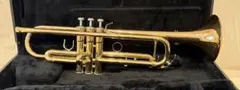 2026年最新】YTR-4335Gの人気アイテム - メルカリ