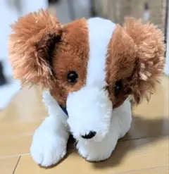【新品タグ付き】コーイケルホンディエのおでこちゃん　BIGサイズ　大谷翔平