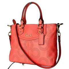 Y2K COACH Punching Leather Handbag 2way