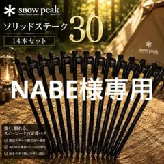 Snow Peak スノーピーク ソリッドステーク40 14本セット ペグ - メルカリ