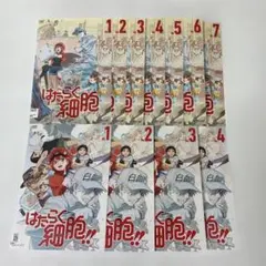 DVD はたらく細胞／特別編／はたらく細胞2期／アニメ レンタル落ち