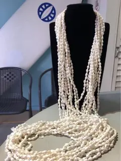 ホワイトシェルレイ