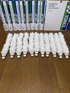 Item thumbnail for item ba1c970c-b78c-4cc2-bd3a-fa9e73e11502