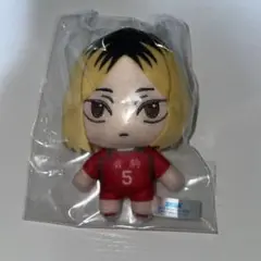 ハイキュー　孤爪研磨　フィギュア　ぬいぐるみ　一番くじ　プライズ ハイキュー!! ぬーどるストッパーフィギュアー孤爪研磨ー