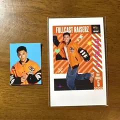 tiny twiggz セット