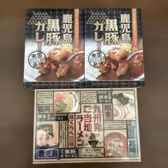 鹿児島黒豚カレー 4個 九州ご当地ラーメン 1箱 セットのサムネイル