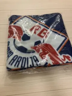 2025年最新】大宮アルディージャピステの人気アイテム - メルカリ