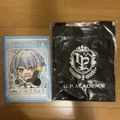 ホロライブ 推しバッグ ぺこら 誕生日記念 サイン カード バッジ アクリル ホロライブ 推しバッグ ぺこら 誕生日記念 サイン カード バッジ