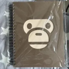 A BATHING APE ノート 未使用