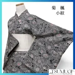 小紋　菊　楓　黒地　お洒落　赤　着物　113a d