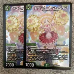 チアスカーレットアカネ