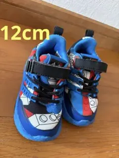 Item thumbnail for item 1c13229a-6ffd-4680-8dbd-bd63c3f46f4c