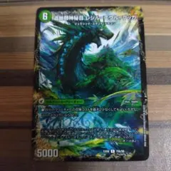 レジルエウルブッカ