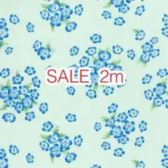 ラスト2点 SALE 2m ネモフィラ グリーン オックス