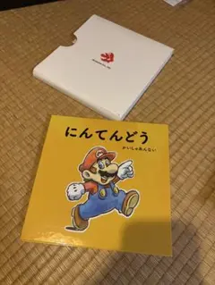 任天堂 会社案内 パンフレット 2007年 DVD付き 非売品 スーパーマリオ 任天堂 会社案内 パンフレット 2007年 DVD付き 非売品 スーパー