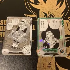 アドバンスパック apt-018 ブルマ apt-024 ビーデル2枚セット