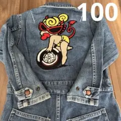 ヒスミニ100
