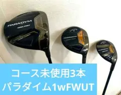 2025年最新】パラダイム アイアン 5の人気アイテム - メルカリ