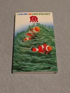 小学館の図鑑　NEO POCKET 魚