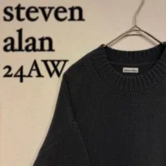 【美品】steven alan 24AW ハミルトンラムウール ニット グレーのサムネイル