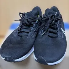 NIKE エア ズーム ペガサス 38