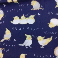 綿生地　みにふわふれんず　インコ