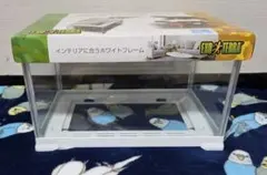 レプテリア300 EXO エキゾテラ