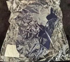 Item thumbnail for item b7de641f-ad2a-48ed-9ecd-0902f67180ce