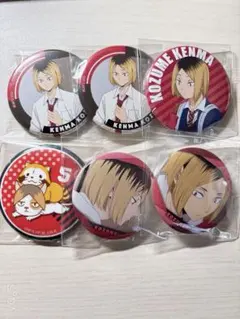 ハイキュー　缶バッジセット