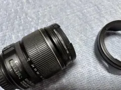 Item thumbnail for item 8f9a5014-a7f6-4c7a-84c3-8342ea36031c