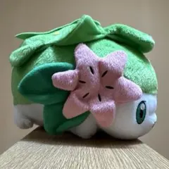 ポケモン シェイミ ぬいぐるみ 1番くじ 2008年 レア