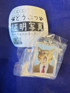 どうぶつ証明写真キーチェーンコレクション マスコット ガチャ 木地 虎の介