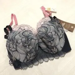 ワコール　wing レシアージュ　F65