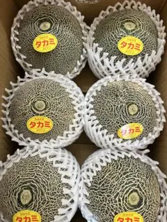 入荷しました！幻のメロン ナイルメロン 2Lサイズ 5玉 送料込み - メルカリ