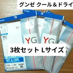 3枚セット 半袖 グンゼ YG Vネック COOL＆DRY インナー Tシャツ