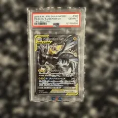 還元の為最安値【PSA10】ピカチュウ&ゼクロムGX SR SA タッグボルト