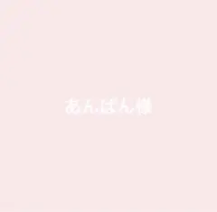 あんぱん様 リクエスト 2点 まとめ商品