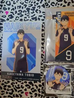 2025年最新】影山飛雄の人気アイテム - メルカリ