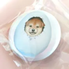 コゲ犬 缶バッジ 柴犬