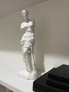 石膏像　ミロのヴィーナス　美術　アンティーク　デッサン